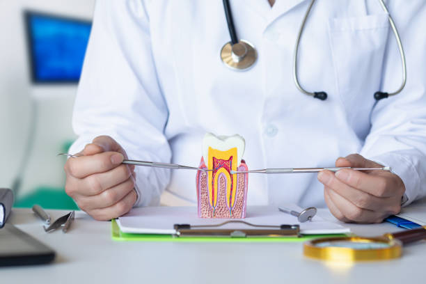 Best Orthodontic Emergency Dentist in Red Lodge, MT